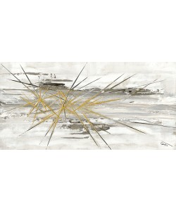 Caro-H, Fantôme