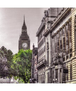 Assaf Frank, London Tree