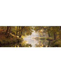 Assaf Frank, Silence I