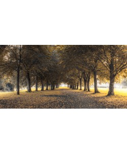 Assaf Frank, Silence II