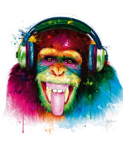 Patrice Murciano, DJ Monkey
