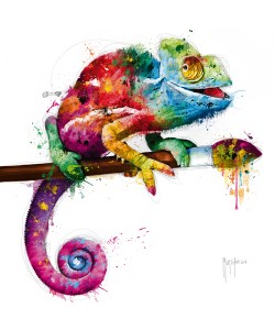 Patrice Murciano, Pop Evolution
