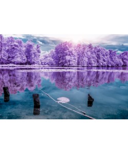 Tonee Gee, Majolan’s Park Reflections I, Bordeaux