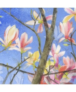 Loes Botman, Magnolie 2