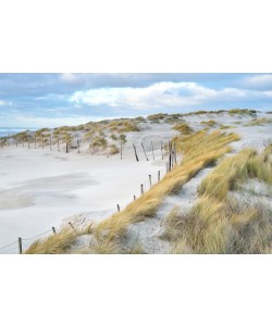 Georges-Félix Cohen, Les dunes I