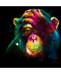 Patrice Murciano, The Darwin’s Preoccupations