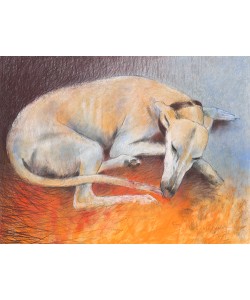 Loes Botman, Dog resting