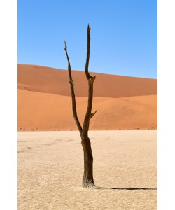 Peter Hillert, Deadvlei