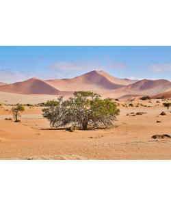 Peter Hillert, Namib Sandsea