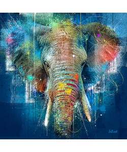 Sylvain Binet, Eléphant bleu