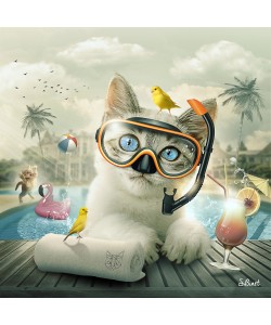 Sylvain Binet, Cat piscine