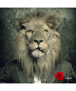 Sylvain Binet, Lion Mafia