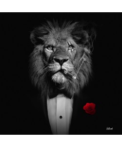 Sylvain Binet, Lion Mafia NB