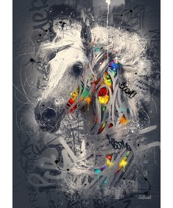 Sylvain Binet, Cheval Pop