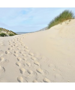 Georges-Félix Cohen, Les Dunes X