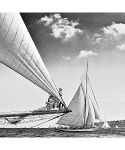 Georges-Félix Cohen, Windy black