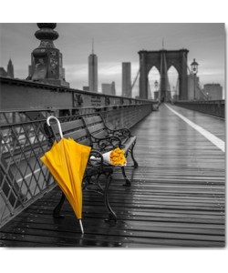 Assaf Frank, New York II
