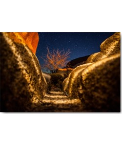 Tom Lichtenwalter, Way to the Stars
