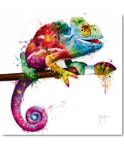 Patrice Murciano, Pop Evolution