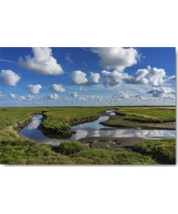 Tom Lichtenwalter, Water and Earth