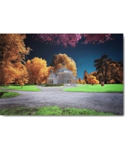 Tonee Gee, Gradignan, Glasshouse I