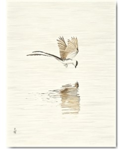 Heidi Lots, Water, Water, Mirror…(Who is the fairest