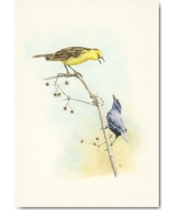 Heidi Lots, Get out of here