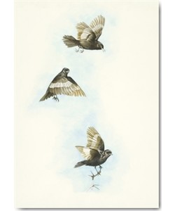 Heidi Lots, New Start!