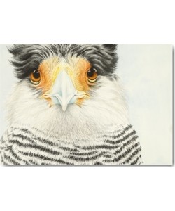 Heidi Lots, Corancho