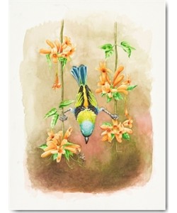 Heidi Lots, Stretching Class II