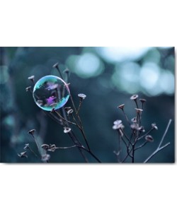 Gaelle Strohmenger, Fragile Perle