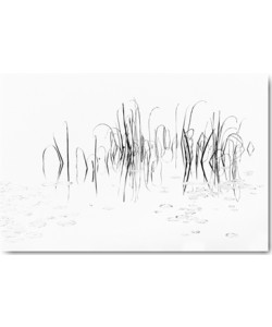 Uwe Steger, Sign II