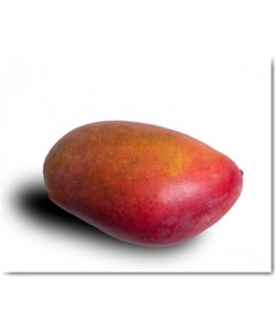 Volker Brosius, Mango