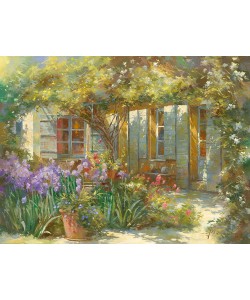 Johan Messely, Jardin aux iris