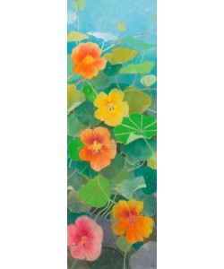 Loes Botman, Nasturtium 1