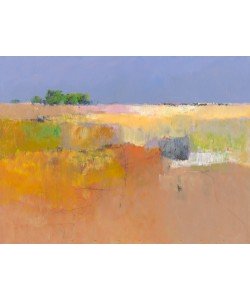 Jan Groenhart, Meadow in Color