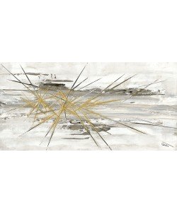 Caro-H, Fantôme