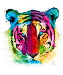 Patrice Murciano, Tiger Pop