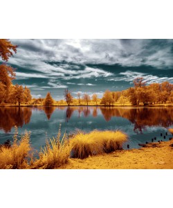 Tonee Gee, Majolan’s Park Reflections II, Bordeaux