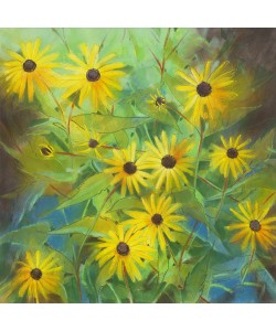 Loes Botman, Helianthus Annuus