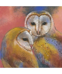 Loes Botman, Schleiereulen