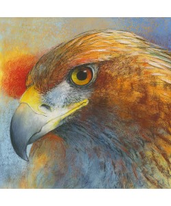 Loes Botman, Bussard