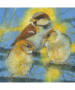 Loes Botman, Spatzen