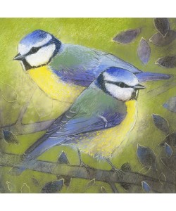 Loes Botman, Blaumeisen