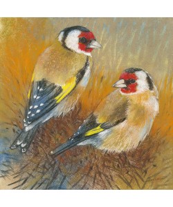 Loes Botman, Distelfinken