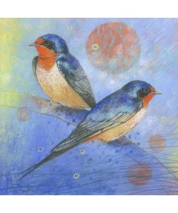 Loes Botman, Schwalben