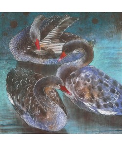 Loes Botman, Schwarze Schwäne