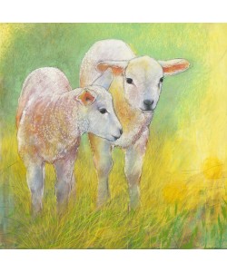 Loes Botman, Lämmer