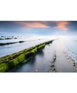 Arnaud Bertrande, Barrika II