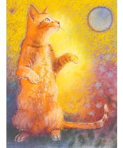 Loes Botman, Playing Cat
